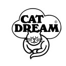 CAT DREAM