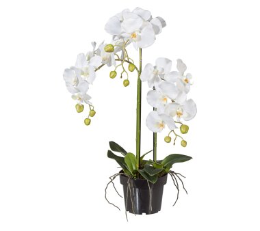 Kunstpflanze Phalenopsis (Orchidee), Farbe weiß, im...