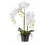 Kunstpflanze Phalenopsis (Orchidee), Farbe weiß, im schwarzen Kunststoff-Topf, Höhe 62 cm