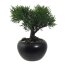 Kunstpflanze Bonsai Zeder grün, im Keramik-Topf, Höhe ca. 19 cm