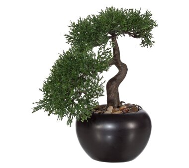 Kunstpflanze Bonsai Zeder, Farbe gr&uuml;n, inkl....