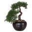 Kunstpflanze Bonsai Zeder, Farbe grün, inkl. Keramiktopf, Höhe ca. 25 cm