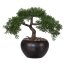 Kunstpflanze Bonsai Zeder grün, im Keramik-Topf, Höhe ca. 26 cm