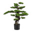 Kunstpflanze Bonsai grün, im Kunststoff-Topf, Höhe ca. 90 cm