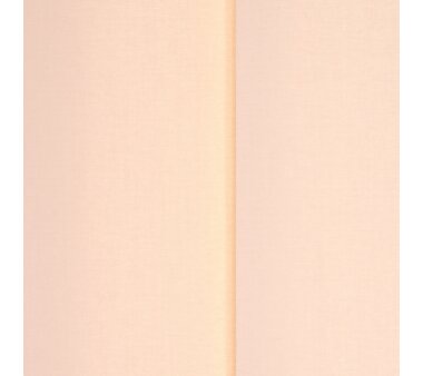 LIEDECO Vertikal-Lamellenanlage apricot, 89 mm Lamellen, Polyester