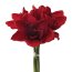 Kunstpflanze Amaryllis-Bund, 2er Set, Farbe rot, Höhe ca. 32 cm