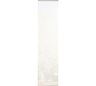 6er-Set Schiebegardinen, blickdicht, FRANKA, 096148-0307, Höhe 245 cm, grau