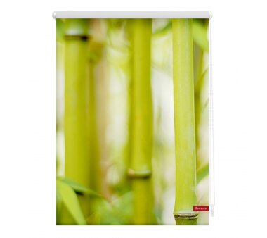 Lichtblick Rollo Klemmfix, ohne Bohren, blickdicht, Motiv Bambus, Farbe grün