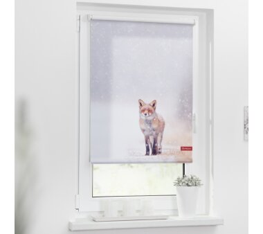 Lichtblick Rollo Klemmfix, ohne Bohren, blickdicht, Motiv Fuchs im Schnee, Farbe weiß-rot