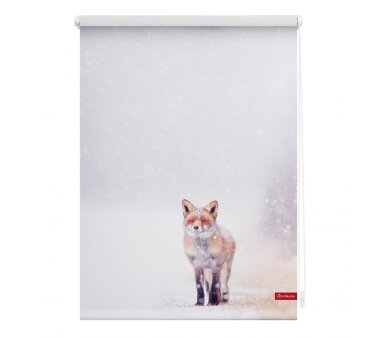Lichtblick Rollo Klemmfix, ohne Bohren, blickdicht, Motiv Fuchs im Schnee, Farbe weiß-rot