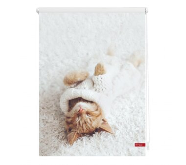 Lichtblick Rollo Klemmfix, ohne Bohren, Verdunkelung, Motiv Sleepy Cat, Farbe weiß
