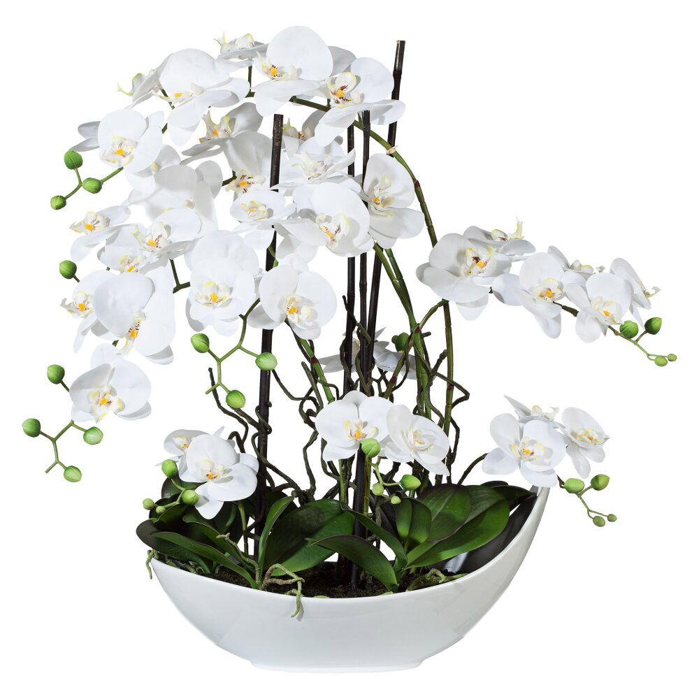 Kunstpflanze Phalenopsis weiß, Höhe ca. 68 cm kaufen