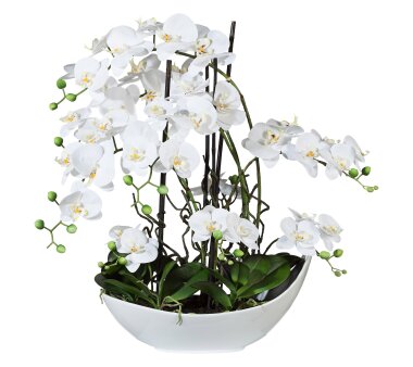 Kunstpflanze Phalenopsis-Arrangement (Orchidee), Farbe...