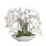 Kunstpflanze Phalenopsis (Orchidee), Farbe weiß, mit weißer Keramik-Schale, Höhe 70 cm
