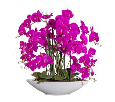 Kunstpflanze Phalenopsis (Orchidee), Farbe lila, mit...