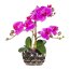 Kunstpflanze Phalenopsis (Orchidee), Farbe lila, inkl. silberfarbener Ovalvase, Höhe 30 cm