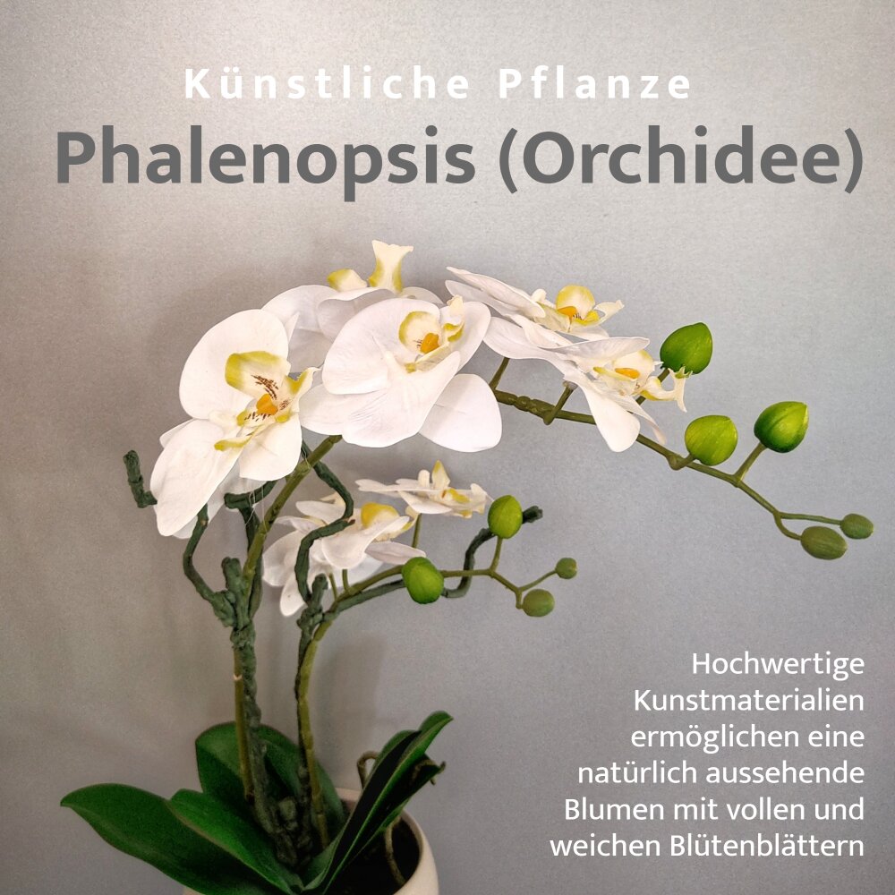 kaufen Kunstpflanze günstig cm weiß Orchidee 42 Schale &