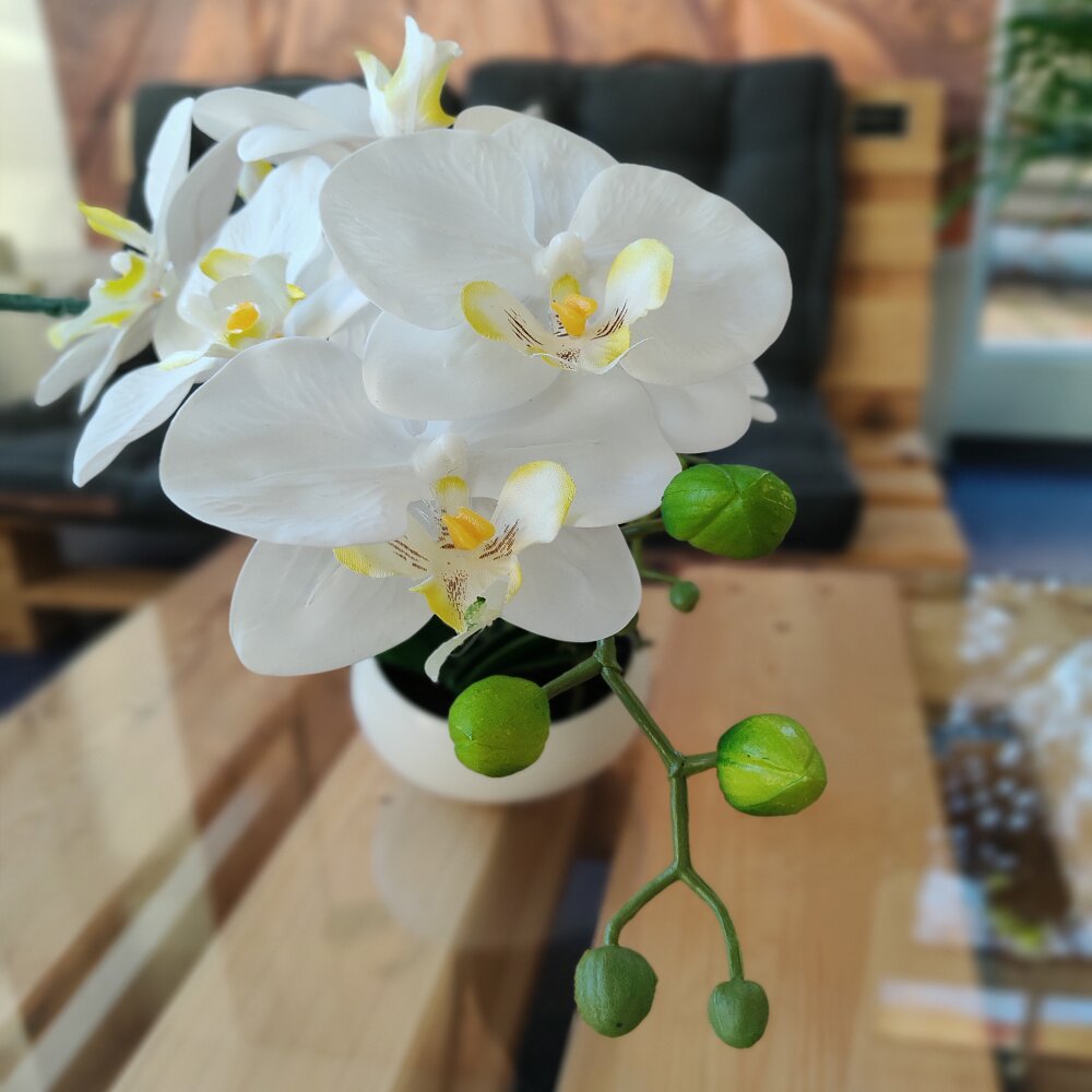 Schale & 42 Orchidee Kunstpflanze cm kaufen weiß günstig