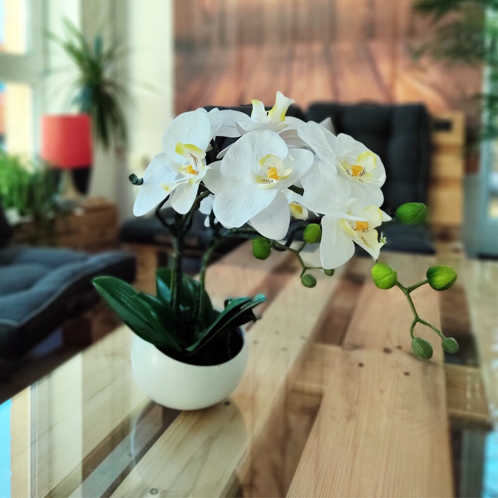 Orchidee Kunstpflanze Schale kaufen günstig 42 & cm weiß