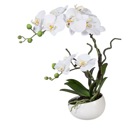 Künstliche Orchidee im Topf, weiß, mit Deko-Keramik-Schale, Kunstblume Höhe 42 cm 