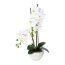 Kunstpflanze Phalenopsis (Orchidee), Farbe weiß, mit weißer Keramik-Schale, Höhe 50 cm