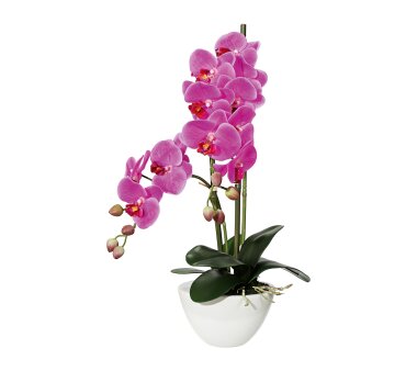 Kunstpflanze Phalenopsis (Orchidee), Farbe lila, mit...