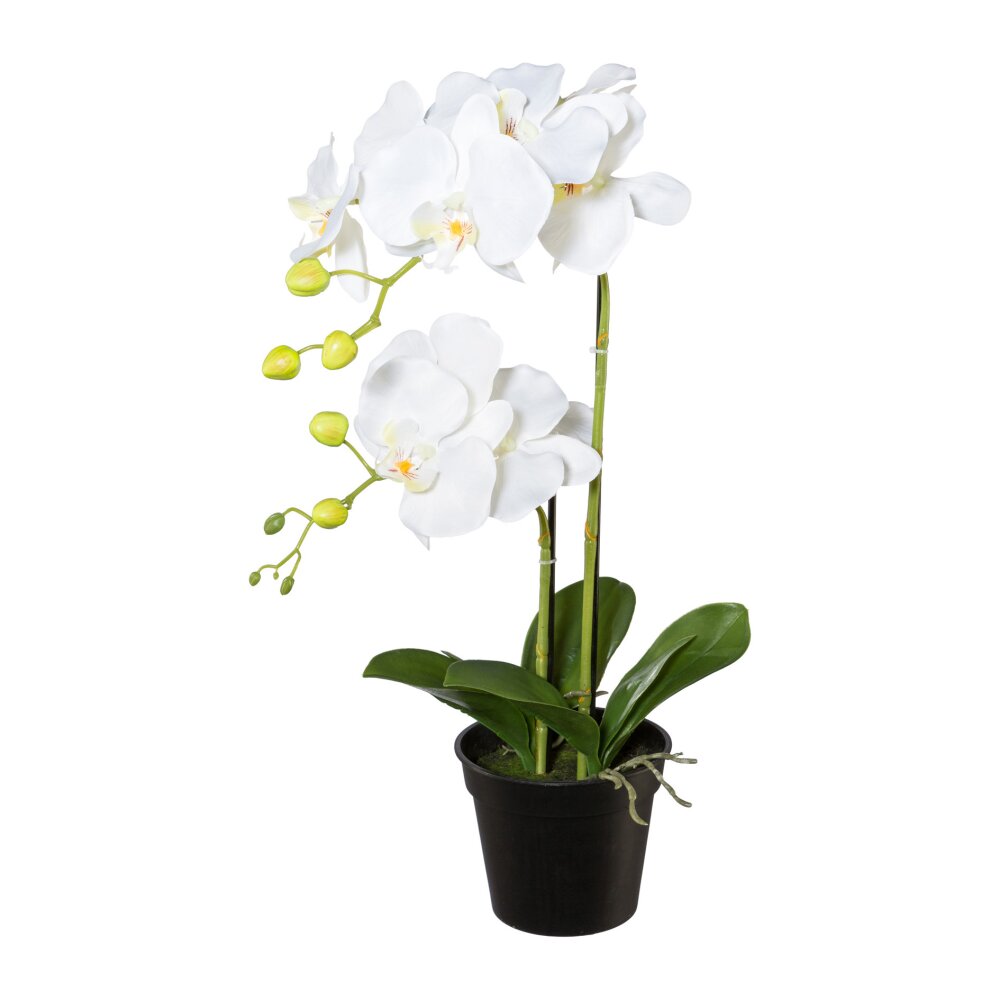 Kunstpflanze Phalenopsis (Orchidee), Farbe weiß, inkl. Pflanz-Topf, Höhe 55 cm