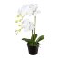 Kunstpflanze Phalenopsis (Orchidee), Farbe weiß, inkl. Pflanz-Topf, Höhe 55 cm