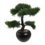 Kunstpflanze Bonsai Zeder grün, mit schwarzem Keramik-Topf, Höhe ca. 37 cm