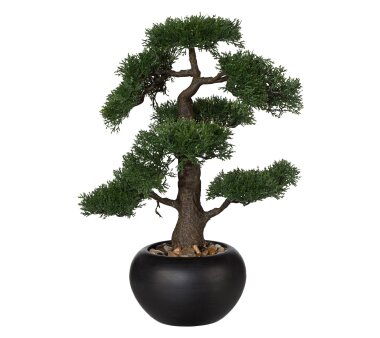 Kunstpflanze Bonsai grün, Höhe ca. 75cm online kaufen