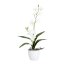 Kunstpflanze Dendrobie (Orchidee) mit 2 Rispen, Farbe weiß, inkl. weißem Keramik-Topf, Höhe 60 cm