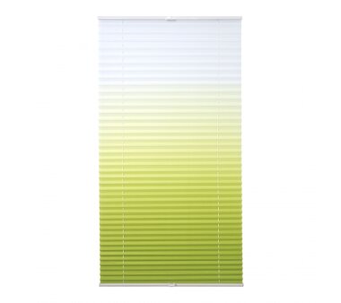 LIEDECO Klemmfix-Plissee Farbverlauf, verspannt,  Fb. grün BxH 75x130 cm