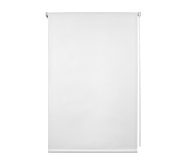 LIEDECO Klemmfix-Rollo Verdunklung mit Thermobeschichtung 045 x 150 cm weiß inkl. Klemmträger