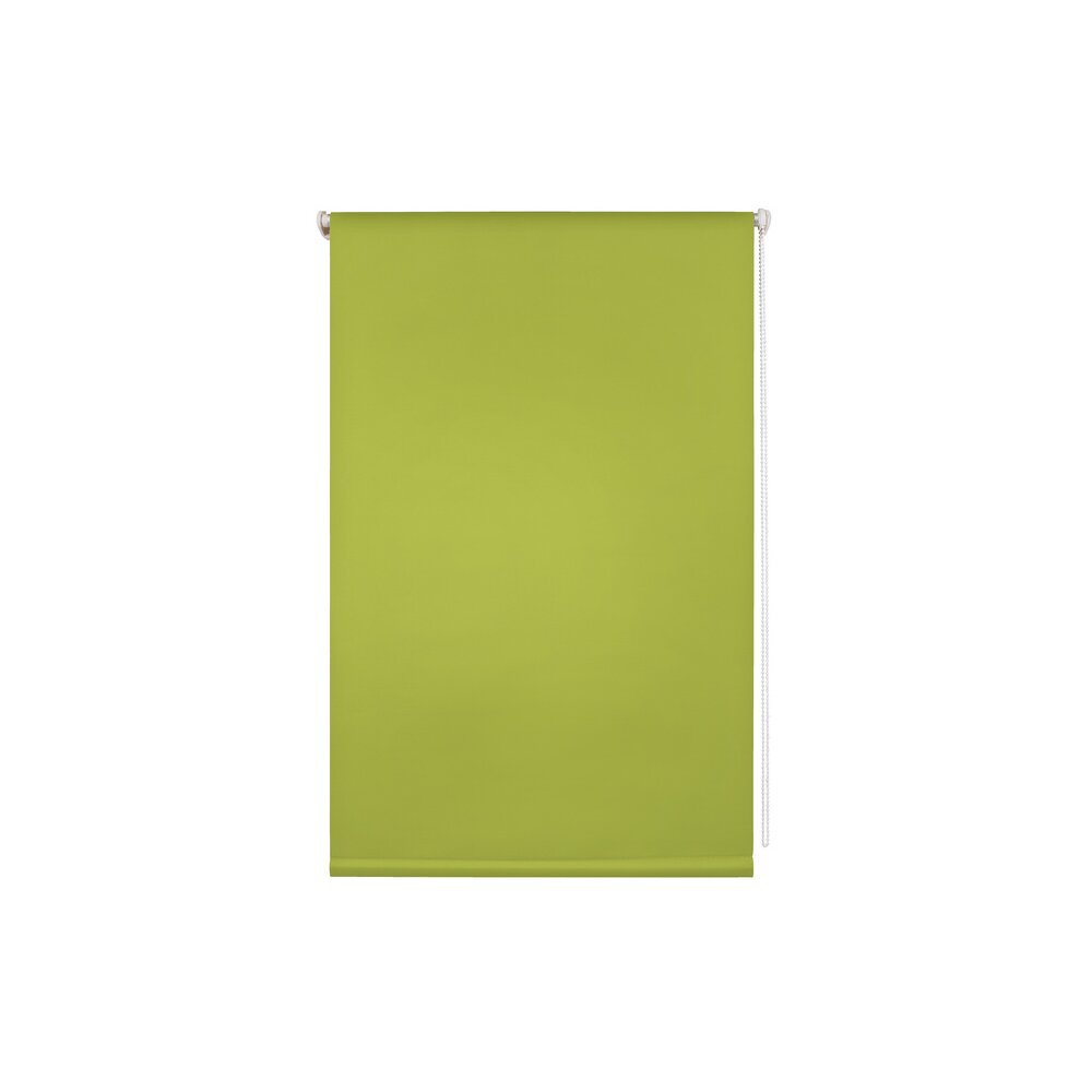 Rollo, von Klemmfix-Rollo - grün 60x150 cm Liedeco