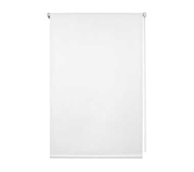 LIEDECO Klemmfix-Rollo Lichtdurchlässig 100 x 150cm Fb. weiß inkl. Klemmträger