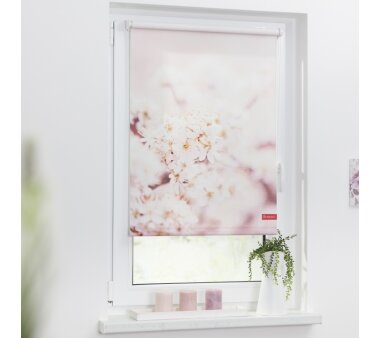 Lichtblick Rollo Klemmfix, ohne Bohren, blickdicht, Kirschblüten - Farbe rosa-weiß BxH 80x150 cm