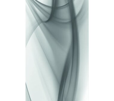 Schiebevorhang Deko blickdicht CLIFTON  Fb. grau Größe BxH 60x245 cm