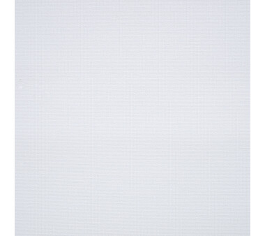 LIEDECO Volantrollo klassisch, Uni-Lichtdurchlässig, weiß BxH 172x180 cm