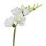 Kunstblume Freesie, 5er Set, Farbe weiß, Höhe ca. 50 cm