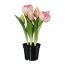 Kunstpflanze Tulpen gefüllt, Farbe rosa, mit schwarzem Kunststoff-Topf, Höhe ca. 25 cm