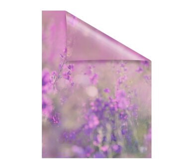 Lichtblick Fensterfolie selbstklebend, Sichtschutz, Blumenwiese violett