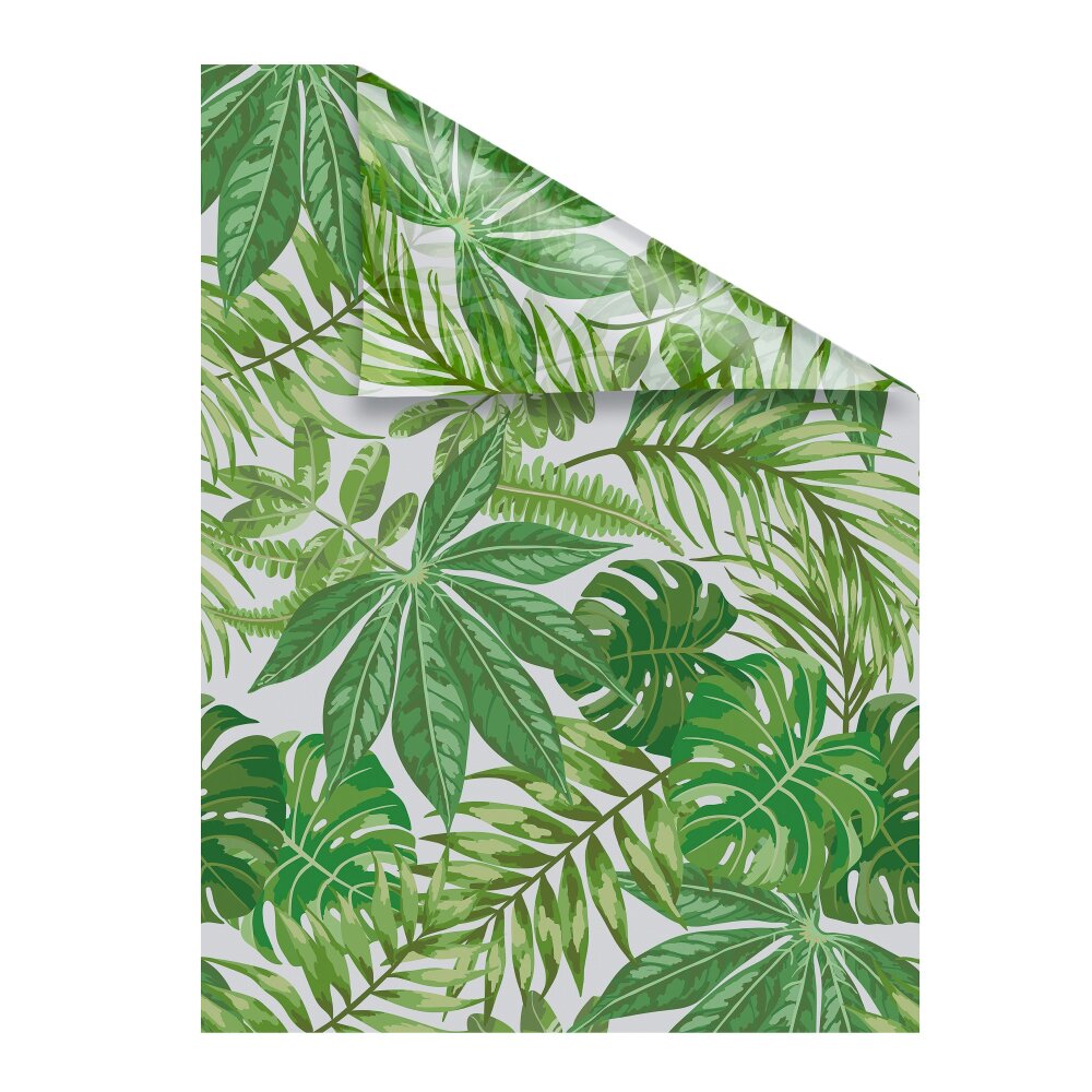 grün Fensterfolie kaufen - Palmenblätter online
