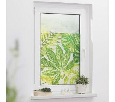 Lichtblick Fensterfolie selbstklebend, Sichtschutz, Palmenblätter grün