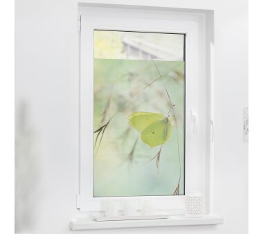 Lichtblick Fensterfolie selbstklebend, Sichtschutz, Schmetterling grün
