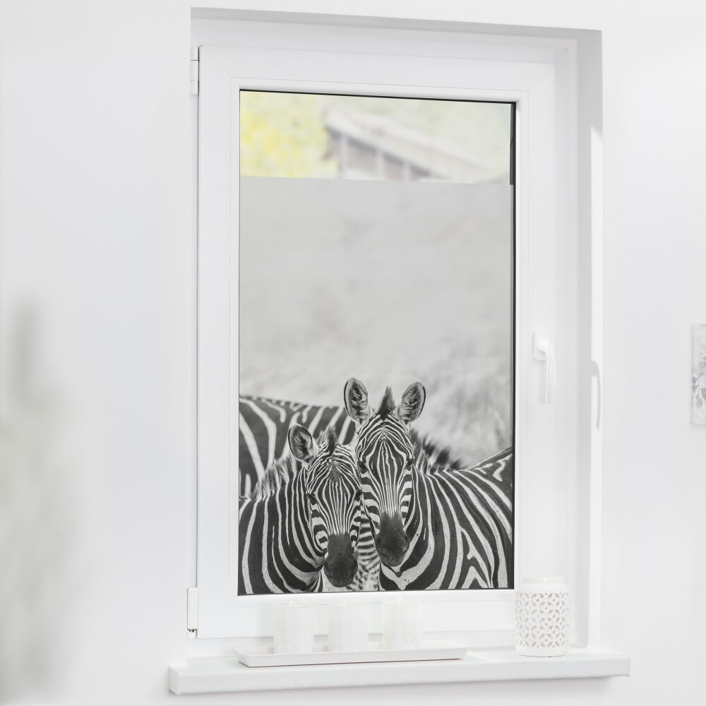 Fensterfolie Zebra schwarz-weiß - online kaufen