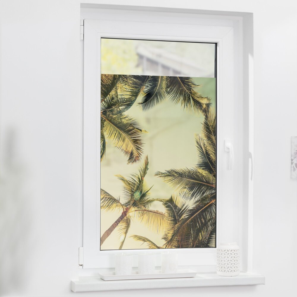 Fensterfolie Palmen und Sonne grün - kaufen online