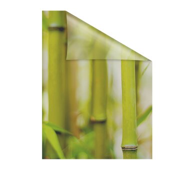 Lichtblick Fensterfolie selbstklebend, Sichtschutz, Bambus grün
