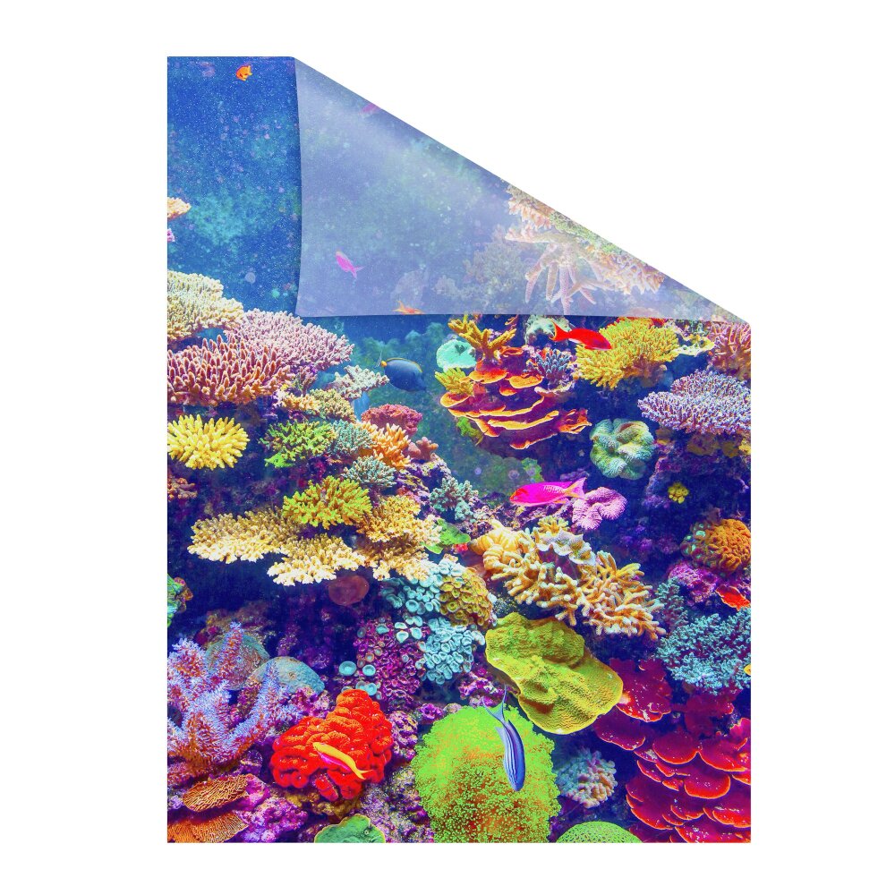 Fensterfolie Aquarium bunt - online kaufen