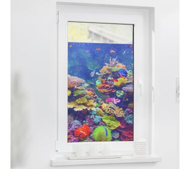 Lichtblick Fensterfolie selbstklebend, Sichtschutz, Aquarium bunt
