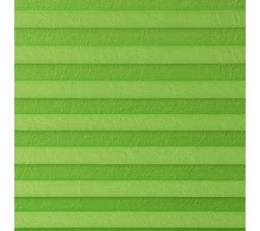 Lichtblick Plissee Haftfix, ohne Bohren, blickdicht, Farbe grün